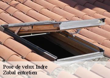 Pose de velux 36 Indre Zubal entretien