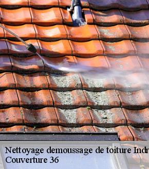 Nettoyage demoussage de toiture 36 Indre  