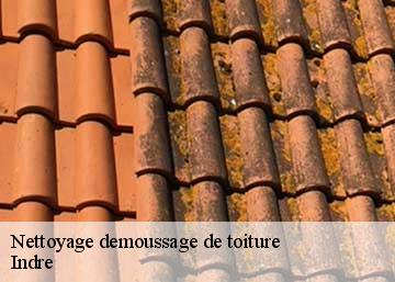 Nettoyage demoussage de toiture Indre