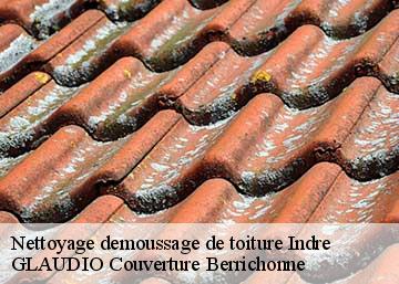Nettoyage demoussage de toiture Indre