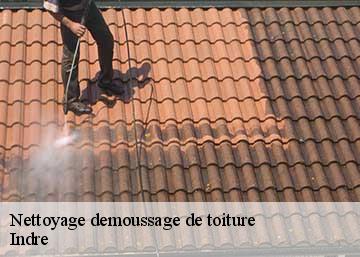 Nettoyage demoussage de toiture Indre