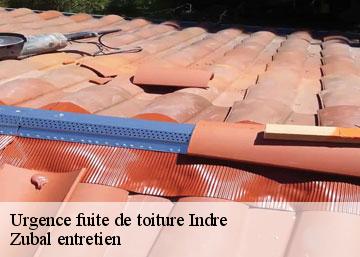 Urgence fuite de toiture 36 Indre Zubal entretien