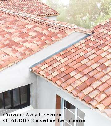 Couvreur  azay-le-ferron-36290 Couverture 36