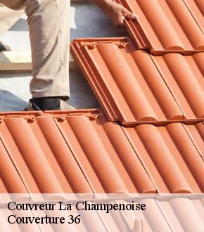 Couvreur  la-champenoise-36100 Couverture 36