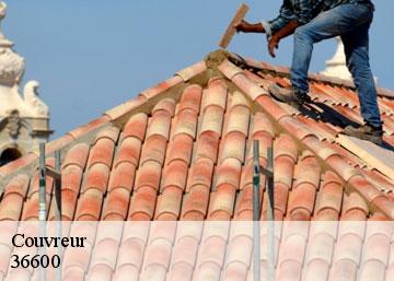 Couvreur 36600