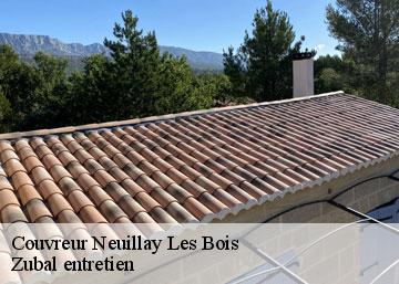 Couvreur 36500