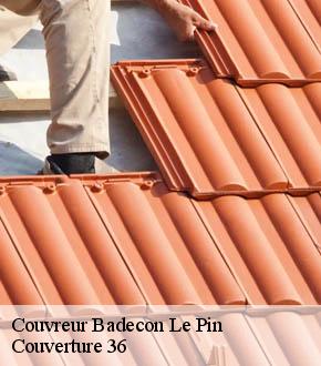 Couvreur  badecon-le-pin-36200 