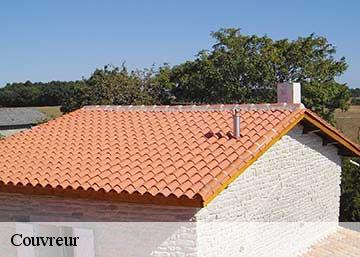 Couvreur 36400
