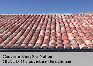 Couvreur 36600