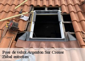 Pose de velux 36200
