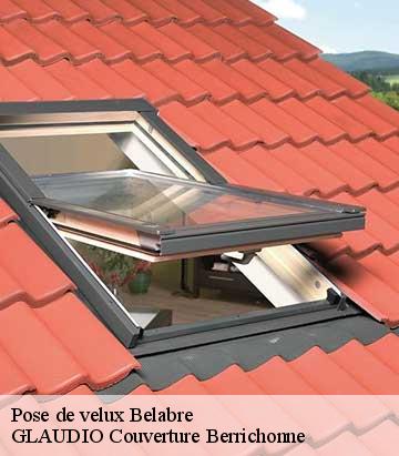 Pose de velux  belabre-36370 Couverture 36