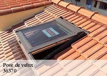 Pose de velux 36370