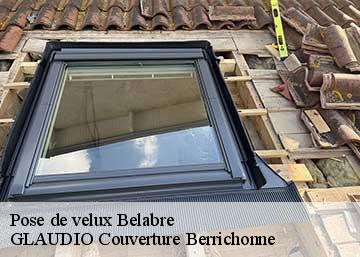 Pose de velux 36370