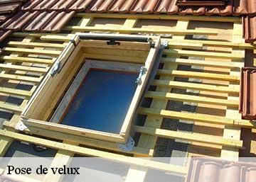 Pose de velux 36370