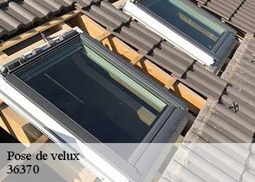 Pose de velux 36370