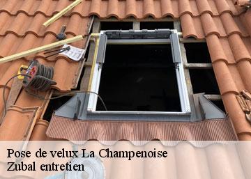 Pose de velux 36100