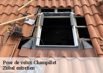Pose de velux  36160