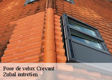 Pose de velux
