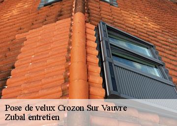 Pose de velux