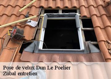 Pose de velux 36210