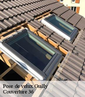 Pose de velux  guilly-36150 Couverture 36