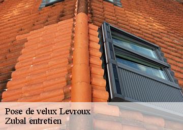 Pose de velux