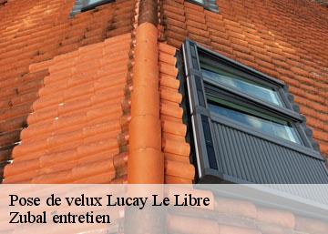Pose de velux