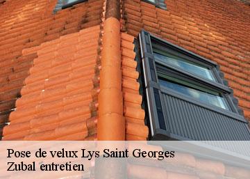 Pose de velux