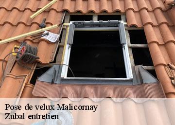 Pose de velux 36340