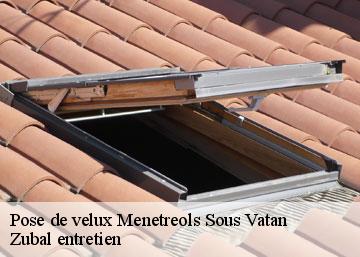 Pose de velux  menetreols-sous-vatan-36150 Zubal entretien