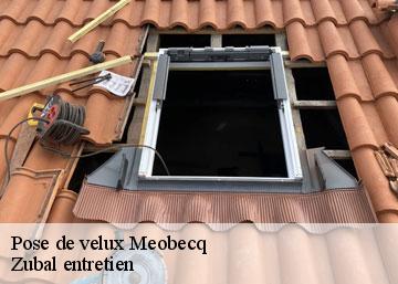 Pose de velux 36500