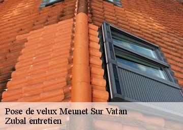Pose de velux
