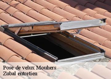 Pose de velux mouhers-36340 Zubal entretien