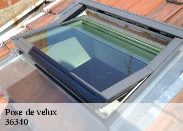 Pose de velux 36340