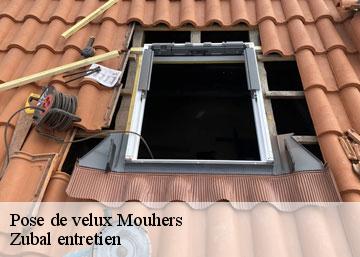 Pose de velux 36340