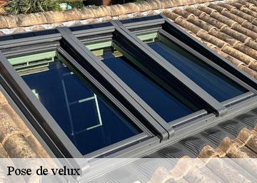 Pose de velux 36340