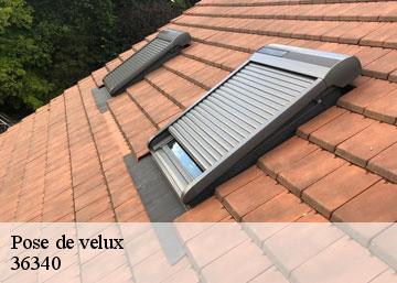 Pose de velux 36340