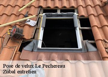 Pose de velux  36200