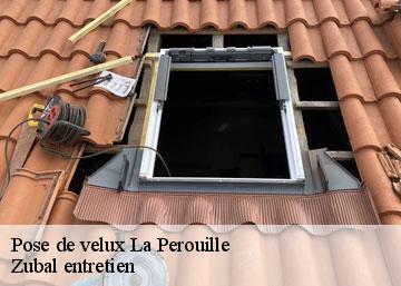 Pose de velux 36350