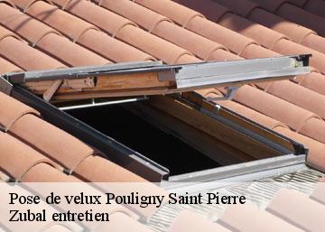Pose de velux pouligny-saint-pierre-36300 Zubal entretien