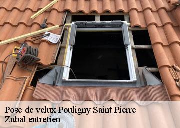 Pose de velux 36300