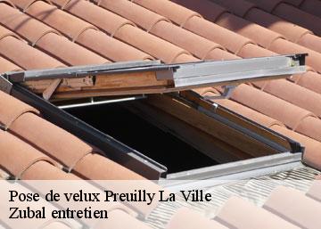 Pose de velux preuilly-la-ville-36220 Zubal entretien