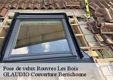 Pose de velux 36110