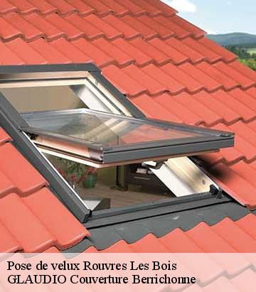 Pose de velux rouvres-les-bois-36110