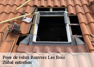 Pose de velux  36110