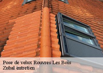 Pose de velux