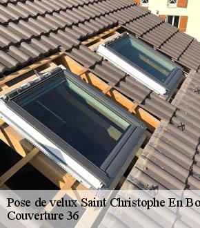 Pose de velux  saint-christophe-en-boucheri-36400 Couverture 36