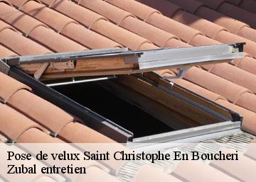Pose de velux  saint-christophe-en-boucheri-36400 Zubal entretien