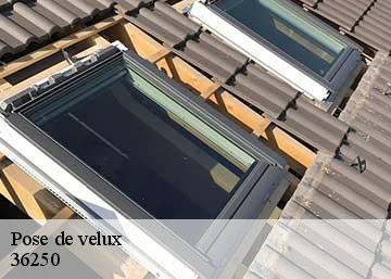 Pose de velux 36250