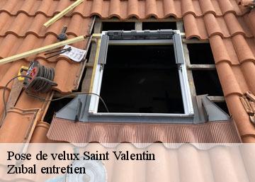 Pose de velux 36100